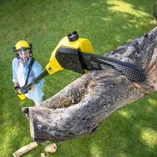 Trusted Baldwin, PA Tree Removal and Landscaping Services Experts